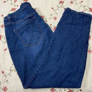 Gloria Vanderbilt Women's Amanda Sz 16W Jeans